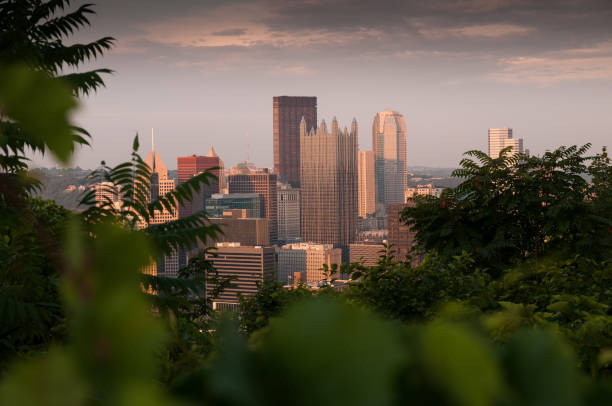 Pittsburgh Skyline behind green foliage on summer evening.