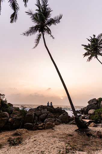 Sunrise with palm trees and silhouette of a couple on Sri Lanka beach. High quality photo