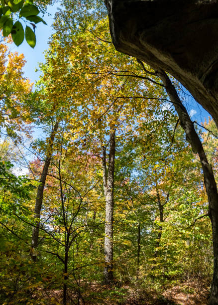 istock rock city park, olean , NY, fall season forest, gigantic rock formations 1735214806