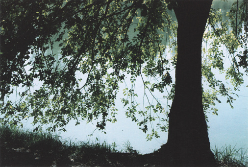 A monochromic shot of a kayak in a river flowing between thickets