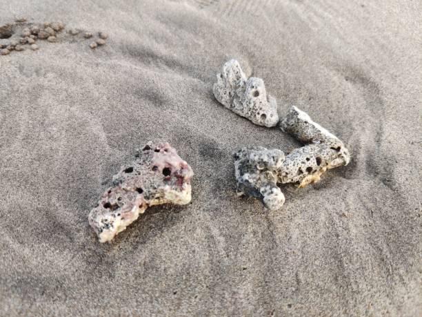istock Sea sand and sea rock stones 1735224953