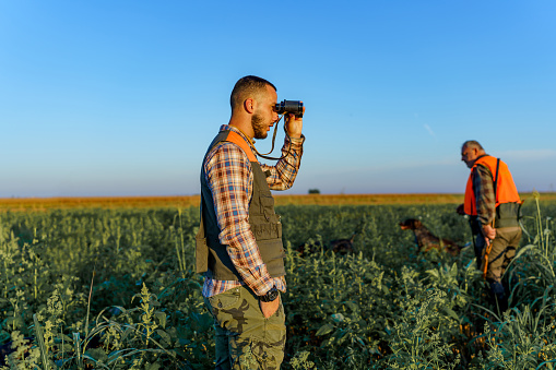 Young Caucasian male hunter looking through binoculars with his hand in his pocket. His mature Caucasian father is walking in the wheat field behind him, while carrying the shotgun on his shoulder.