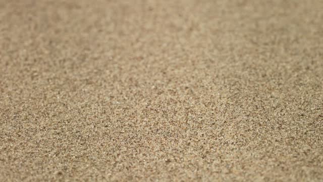 Close-up shot of sand. The texture of sand, grains of sand fly blown away by the wind.