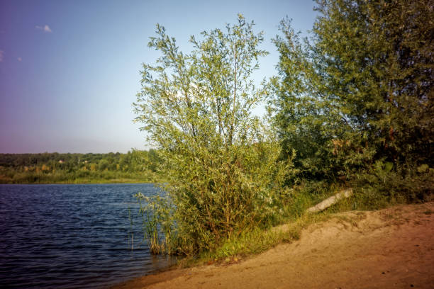 the sun above the water and a sunny path on the river