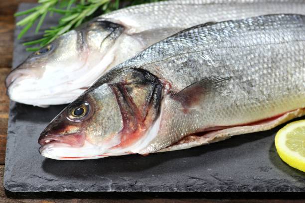 istock european seabasses ready to cook 1735247916