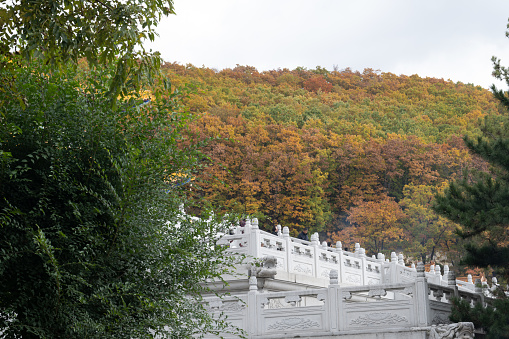 The bridge in Xidi of Summer Palace