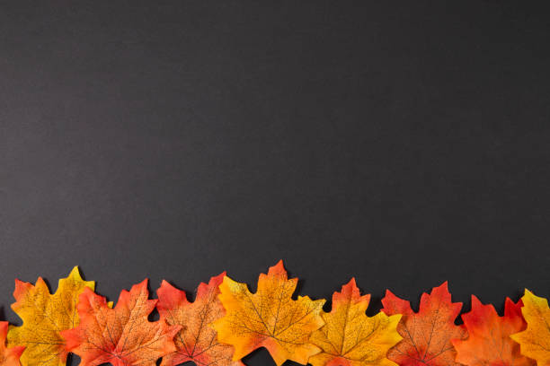 istock Autumn Leaves On Black Background 1735263845