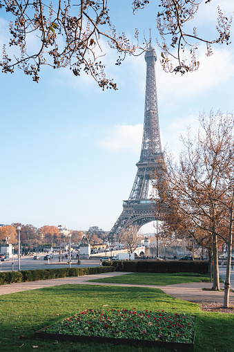 Eiffel Tower with bare trees Autumn Paris France