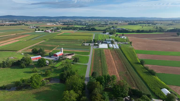 Rural America countryside. Aerial truck shot high above fields and farmland in USA during summer. Rolling hills with barns and silos.