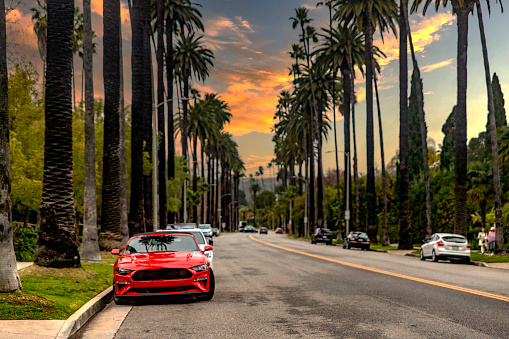 Vehicle parked on the famous avenue of palm trees in Beverly Hills in Los Angeles in the United States of America, it is a very well-known and busy street.