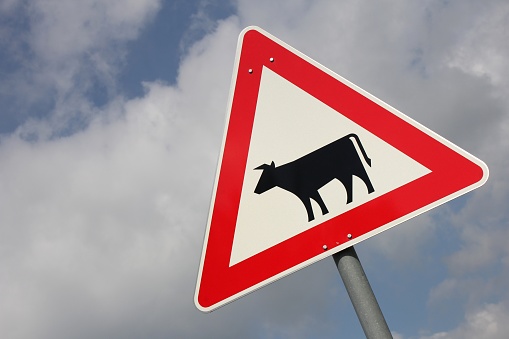 German road sign: domestic animals crossing