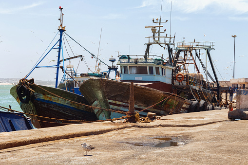 Essaouira, Morocco - June 09, 2017: View of the old fishing ships moored in the harbor of the Essaouira.