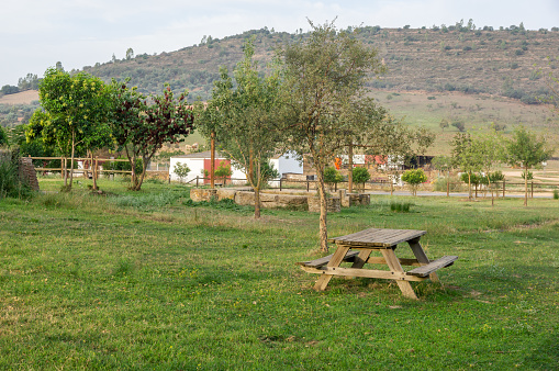 Rural Charm: Green Meadow with Wooden Picnic Area, Houses, and Hill in the Horizon.