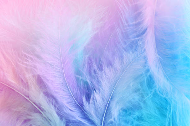 istock Background of delicate pastel feathers 1735342571