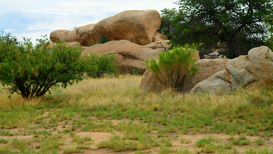 Texas Canyon in the Sonora desert in central Arizona USA