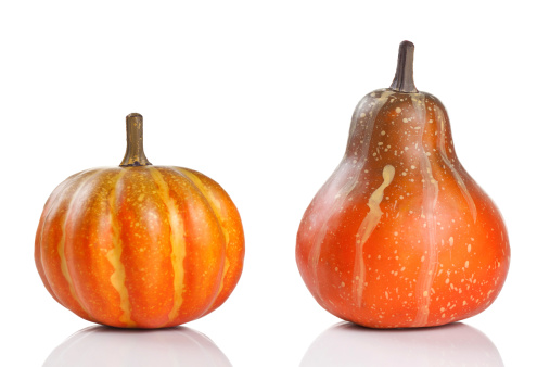 Two pumpkins, isolated on white.