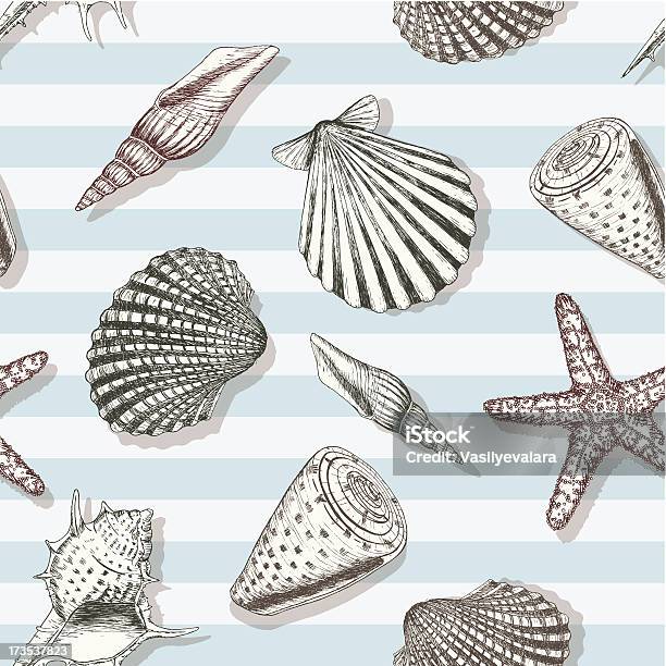 Shell Marine Pattern Sea Shell Pattern Stock Illustration - Download Image Now - Animal ...