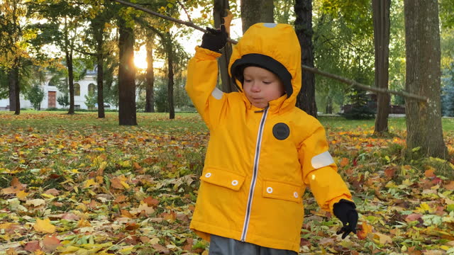 toddler child little boy in yellow jacket playing in autumn park.