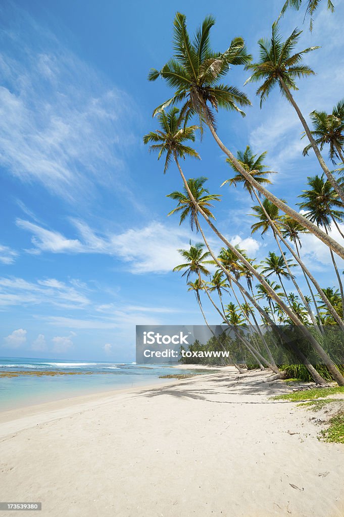Tropical beach Untouched tropical beach in Sri Lanka Backgrounds Stock Photo