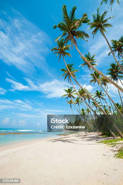 Tropical Beach Stock Photo - Download Image Now - Backgrounds, Bay of Water, Beach