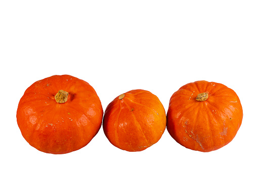 Close up view of pumpkins isolated on white background.