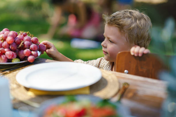 istock Little boy stealing grape berry, taking fruit from party table. 1735399810