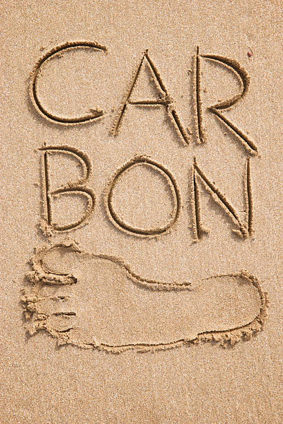 istock Carbon Footprint in the Sand 173540115