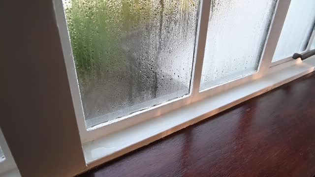 Damp condensation on old windows