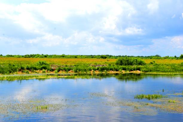 istock Rural landscape: river, vegetation, sky. Beauty is in nature. Natural background. 1735402084