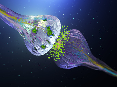 3D Rendered Illustration, visualization of Neurons firing neurotransmitters in the synaptic gap.