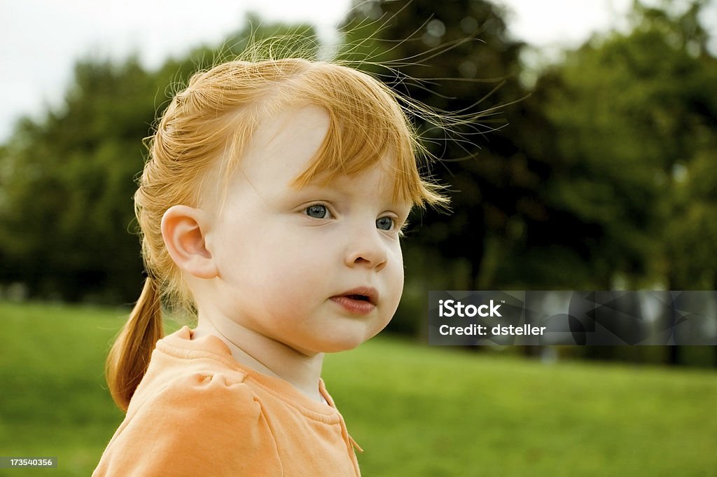 Blue Eyed Redhead - Photo de Cheveux roux libre de droits