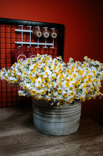 Bouquet of fresh daffodil flowers and thank you tag in a concrete pot