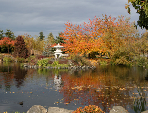 Japanese Gardens in fall colors