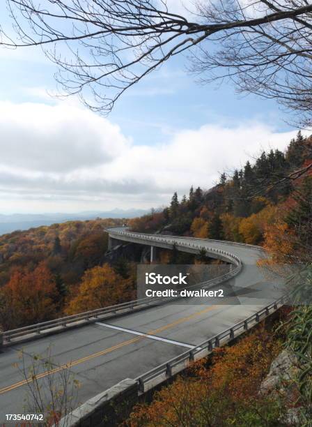 Viadotto Linn Cove - Fotografie stock e altre immagini di Albero - Albero, Appalachia, Autunno