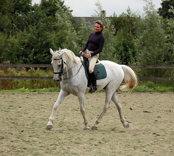 istock Horsewoman show riding 173540850