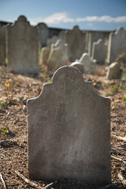 istock Old Blank Gravestone in Princeton Cemetery 173540879