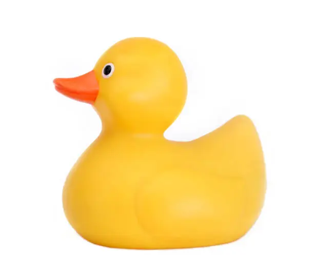 Side Profile of yellow Rubber duck.