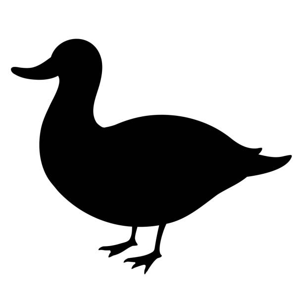 istock Simple and adorable Duck illustration in silhouette 1735410452