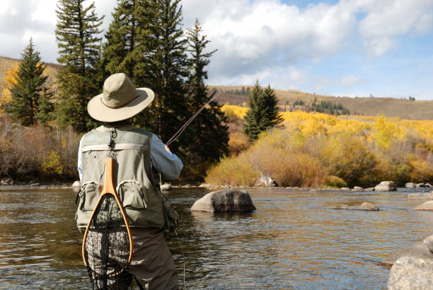 istock Woman Fly-Fishing 173541083