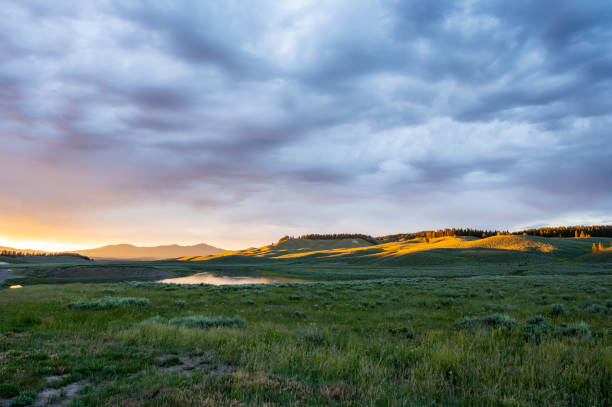 istock Thick Clouds Catch The Sunset Colors Over Hayden Valley and The Yellowstone River 1735411321