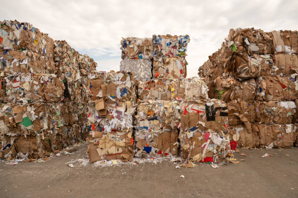 istock collected waste paper and cardboard for recycling 1735414055