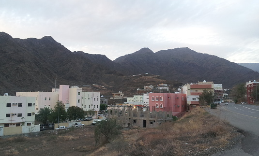 Saudi Arabia, Abha, Rijal Al Maa General Hospital and the road leading to it, surrounding residential buildings, trees and mountains in the background