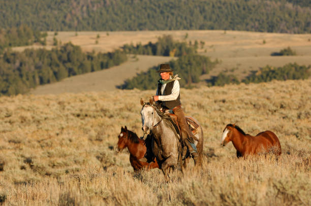 istock Cowboy herding horses 173541530