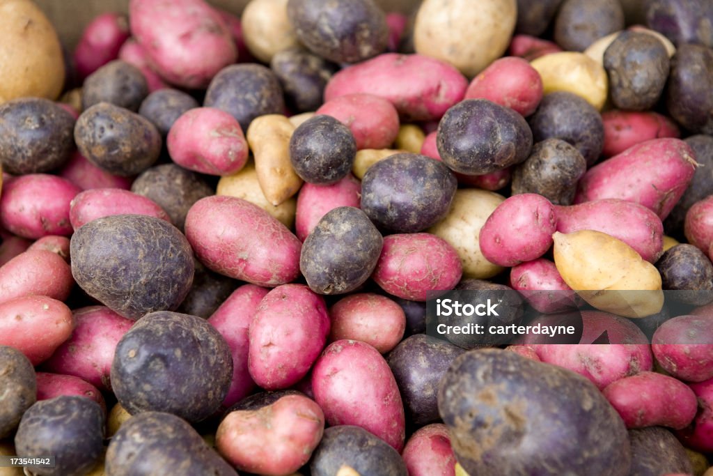 Batatas vermelhas e brancas - Foto de stock de Batata - Tubérculo royalty-free