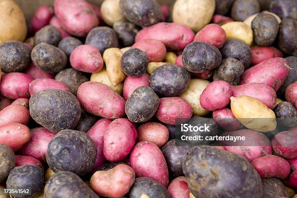 Foto de Batatas Vermelhas E Brancas e mais fotos de stock de Batata - Tubérculo - Batata - Tubérculo, Roxo, Batata vermelha