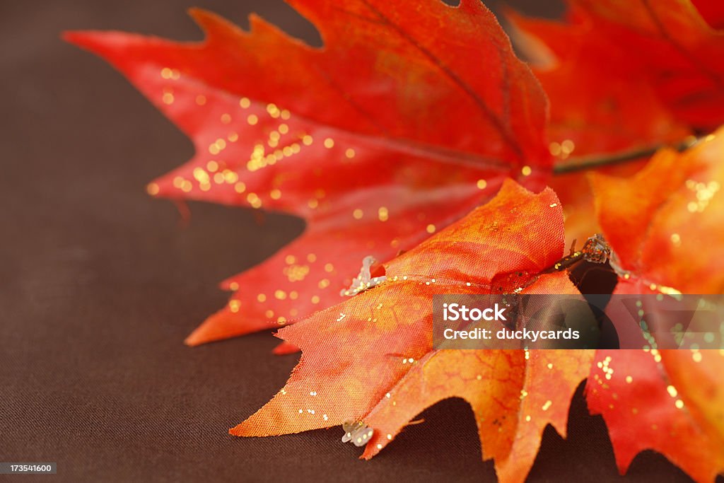 Fall Leaves on Brown Background Fall colored decorative leaves on a brown background. Artificial Stock Photo