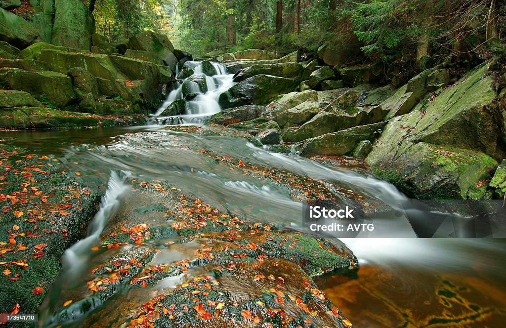 Cascata in autunno - Foto stock royalty-free di Acqua