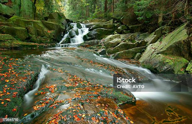 Cascata No Outono - Fotografias de stock e mais imagens de Amarelo - Amarelo, Ao Ar Livre, Cascata