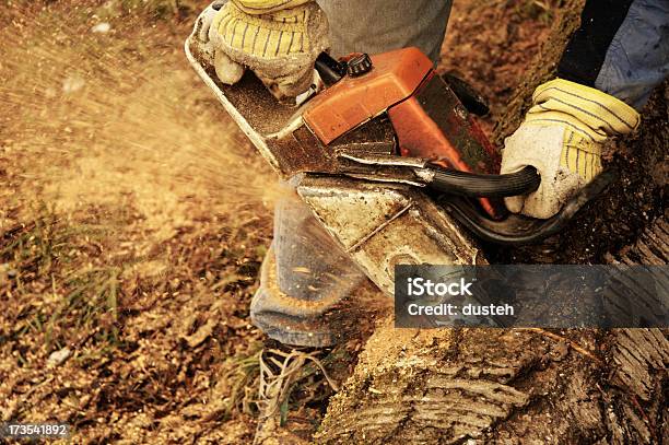 Cortar De Madeira - Fotografias de stock e mais imagens de Afiado - Afiado, Antigo, Correia de Serra Articulada