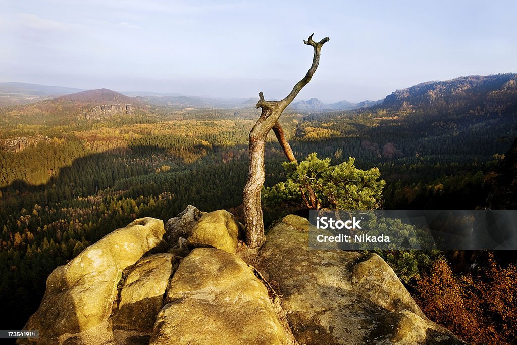 Живописные горы - Стоковые фото Basteifelsen роялти-фри